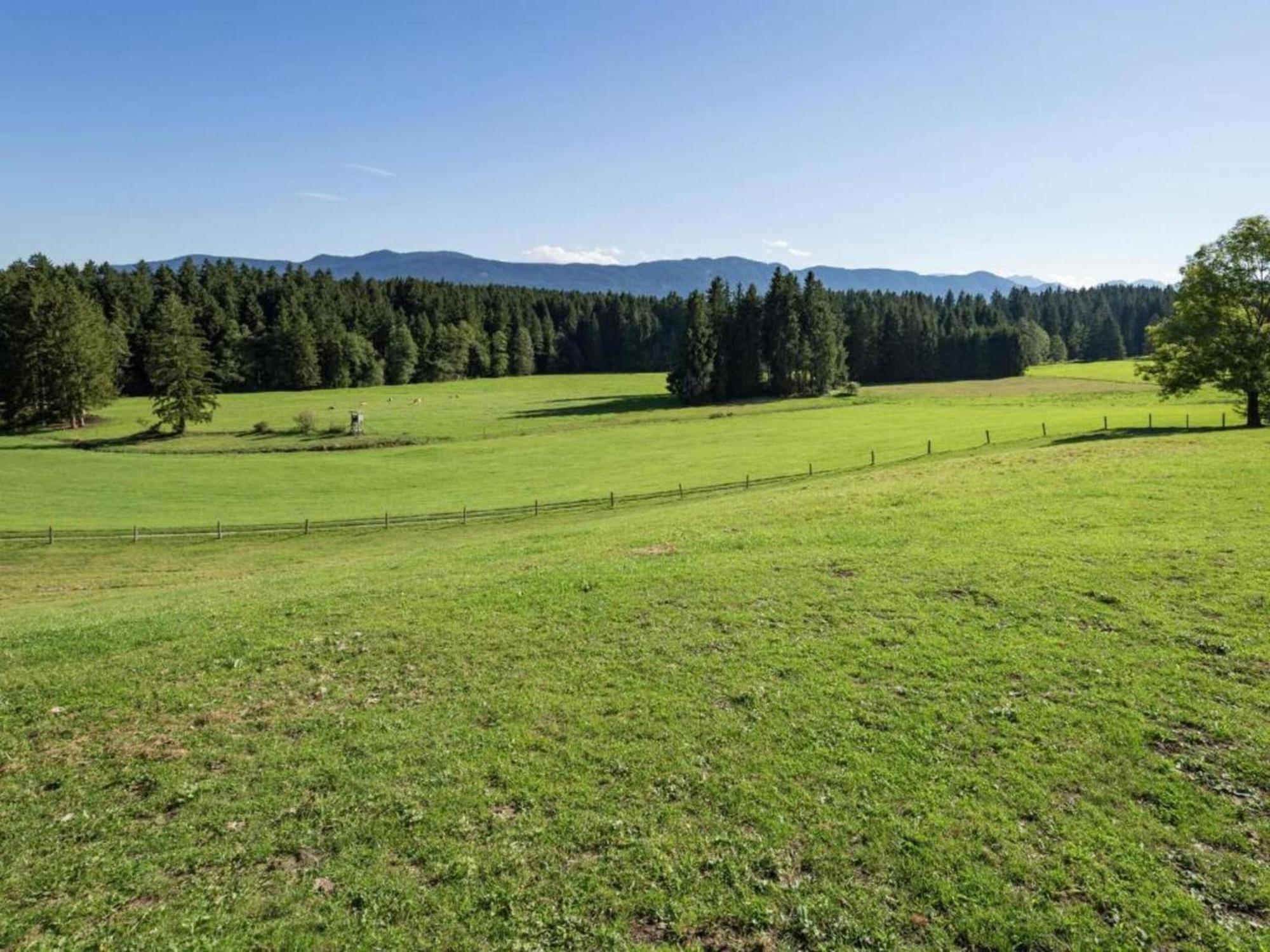 Apartment In Lechbruck Bavaria With Garden Eksteriør bilde